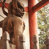 頼りにしてます