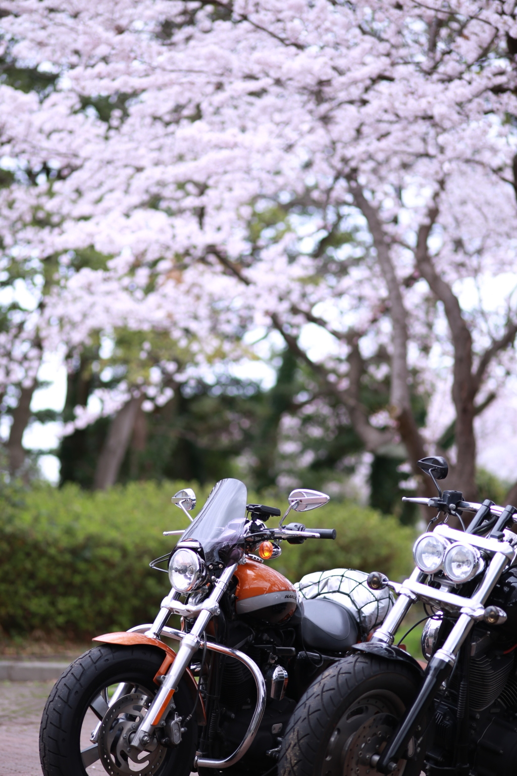 覚えてますか
