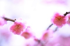 分かれ道
