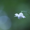 あきることのない