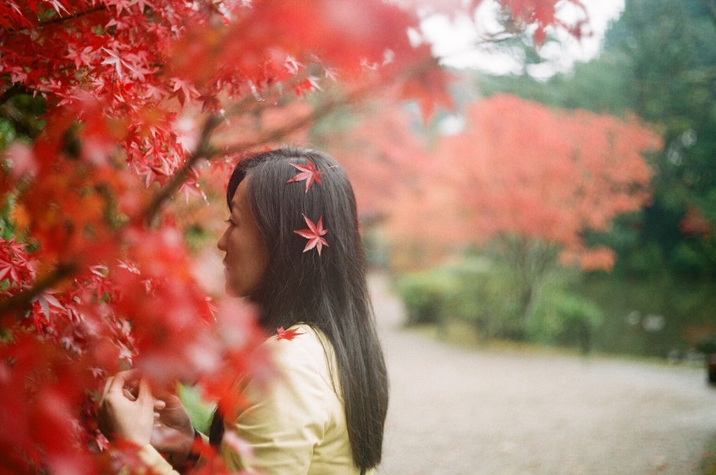 フィルムなわたし