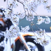 ライダーあるある