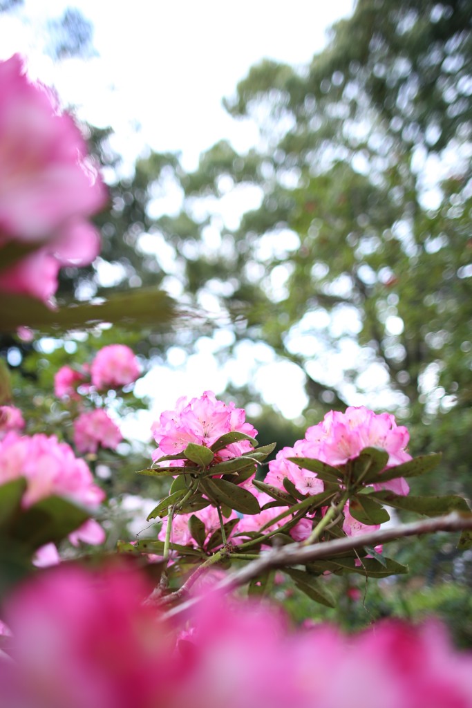 木陰で