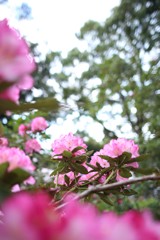 木陰で