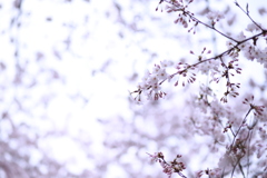 時空をこえて