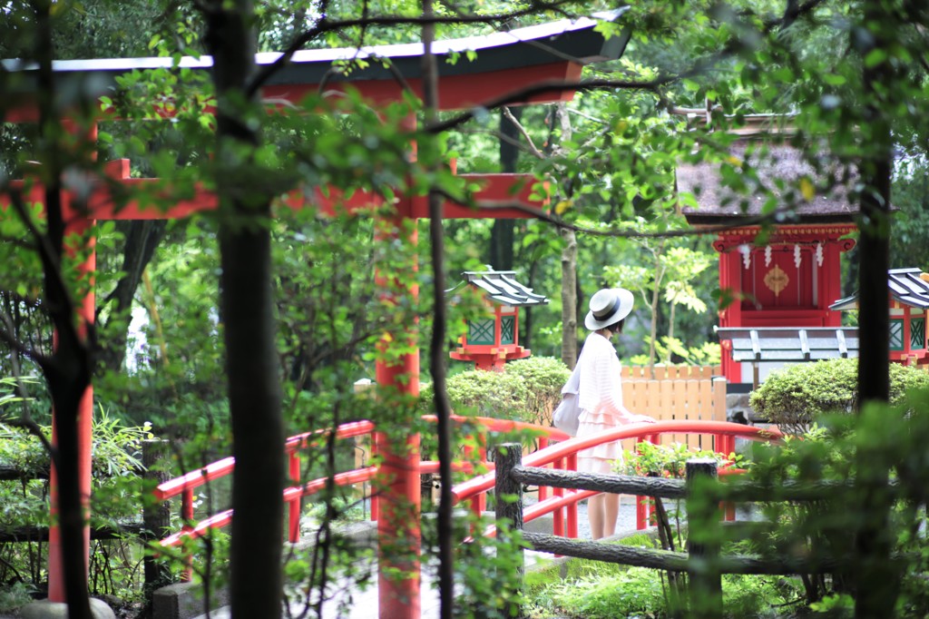 神々に導かれて
