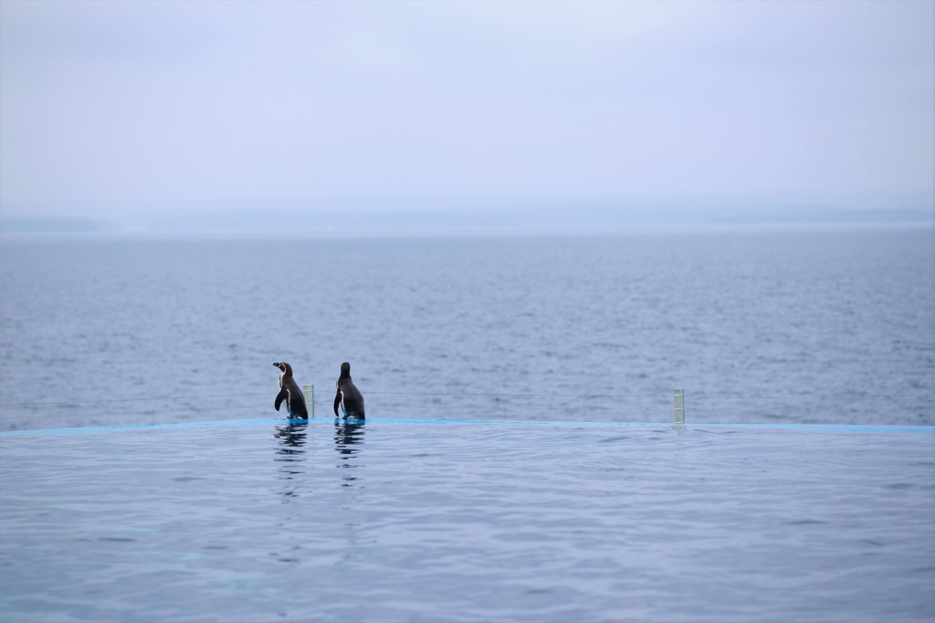 あっちの海は甘い