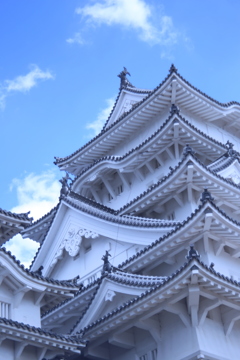 ひめに出逢う