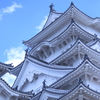 ひめに出逢う