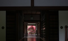 離れていても
