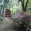 遠慮の坂