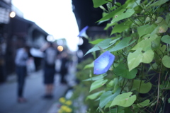 逢う魔が時