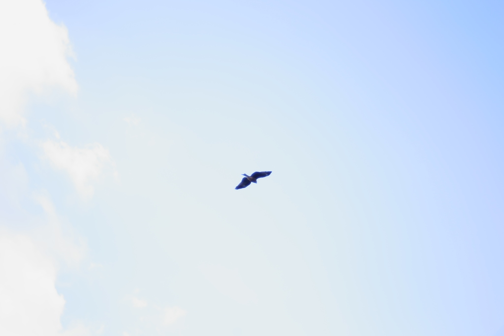 同じ空を見上げて