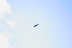 同じ空を見上げて