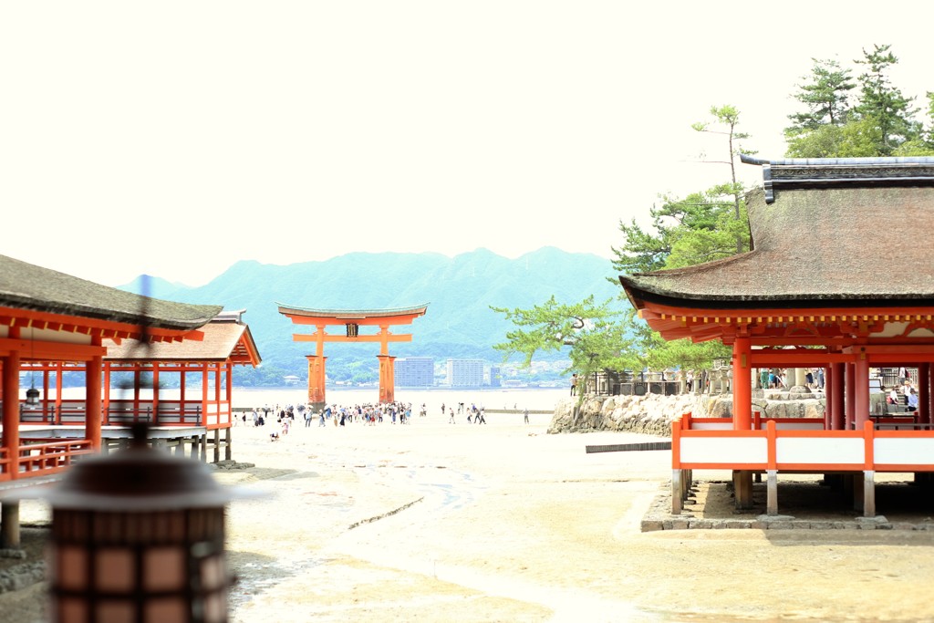 干潮