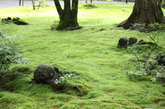 苔むす童地蔵