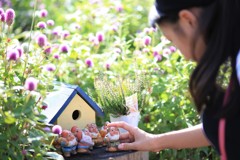小人つかまえた