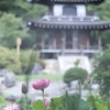 観音様をのぞむ