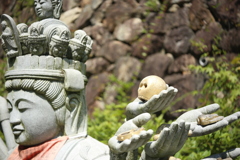 いつか骨になって