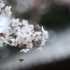 もう少しだけ