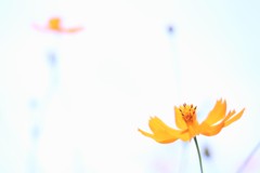 二人のキョリ