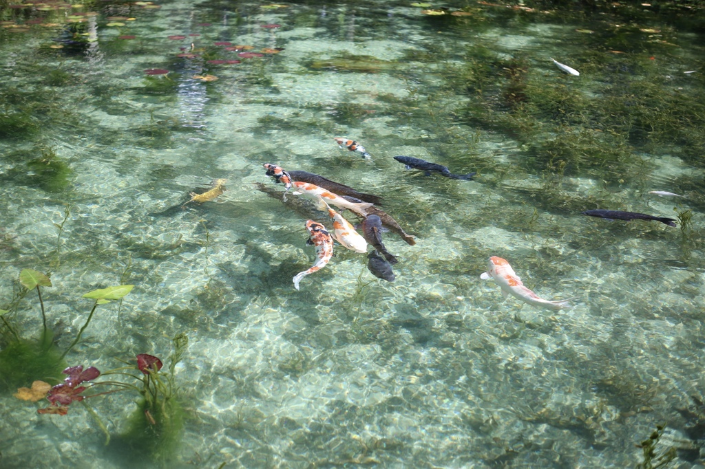 一緒に行きたい場所