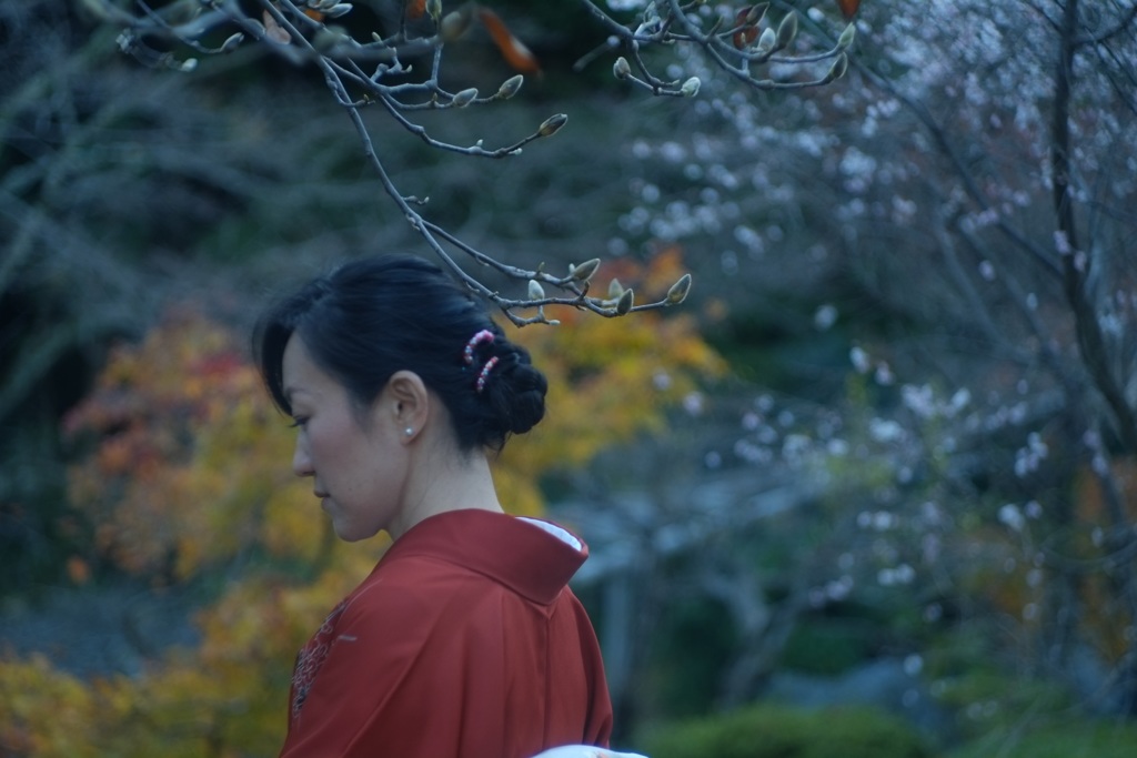 木蓮の伊吹