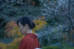 木蓮の伊吹