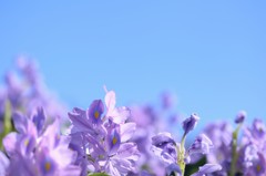 空を見上げて感じた
