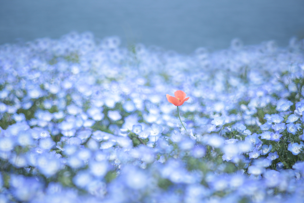 気がつけば