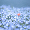気がつけば