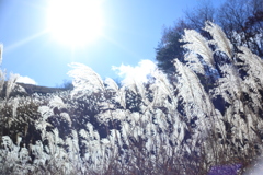 太陽の恵み