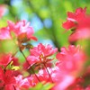遠くに聞こえる