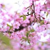 なぞる