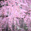 笑顔のさきに