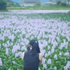 ユメナラサメナイデ