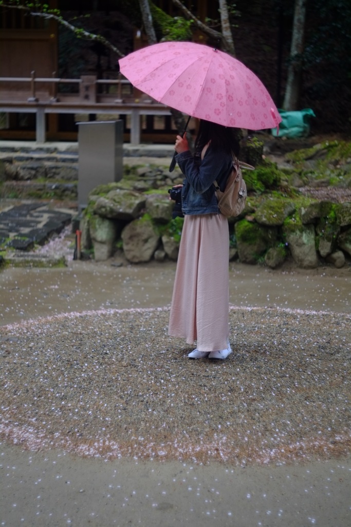 桜サークルに導かれ
