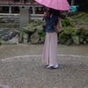 桜サークルに導かれ