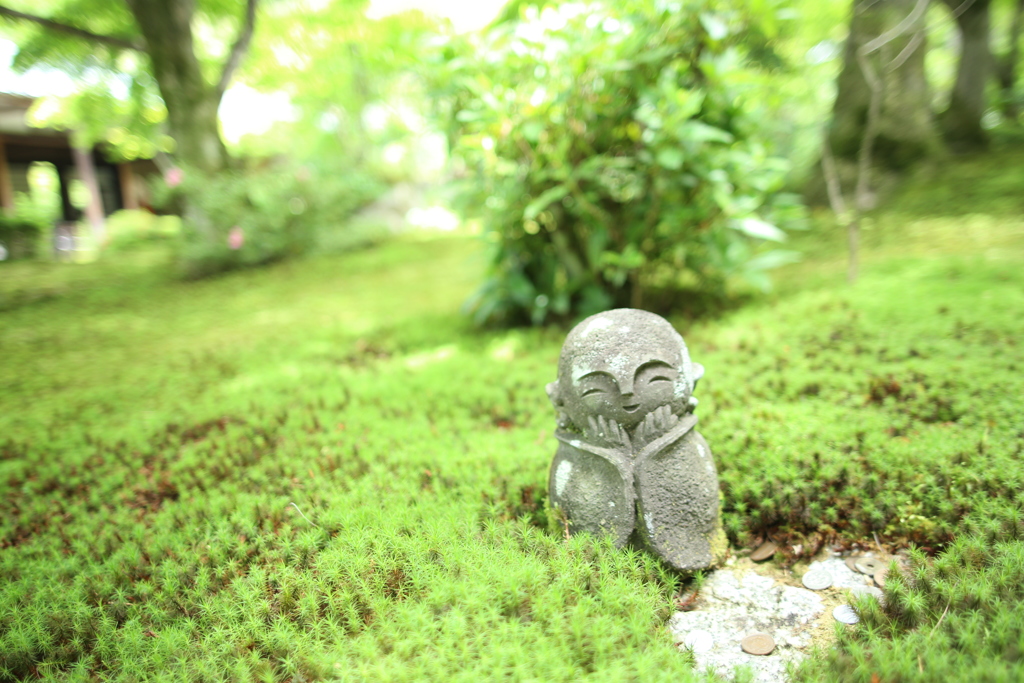 眠れぬ森の地蔵