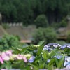 幾年もの