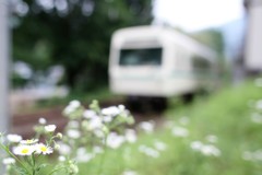 叡山電車に揺られて