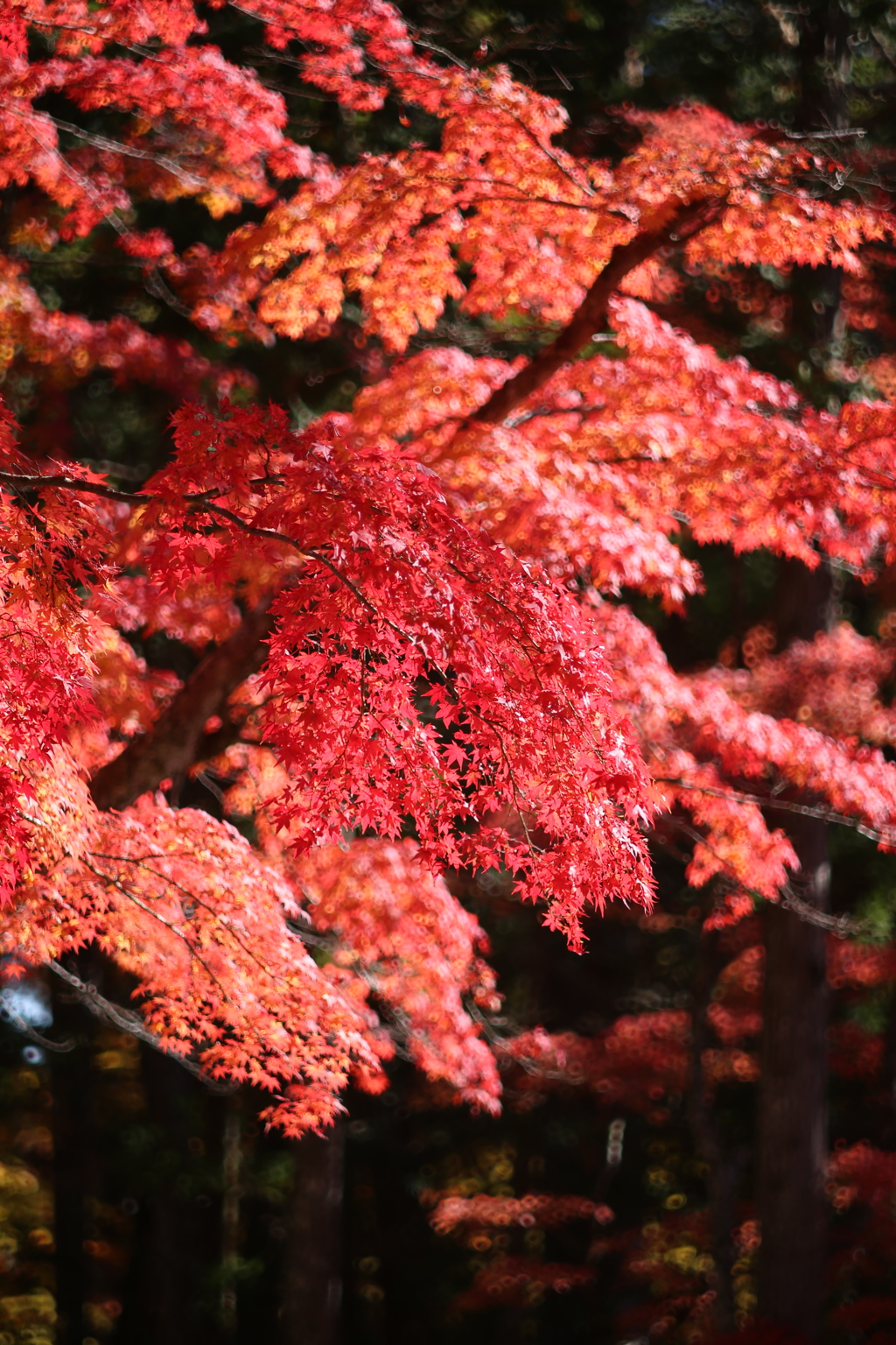 思いやり