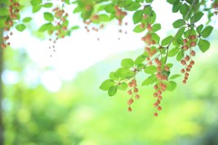 和