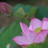 気は長く
