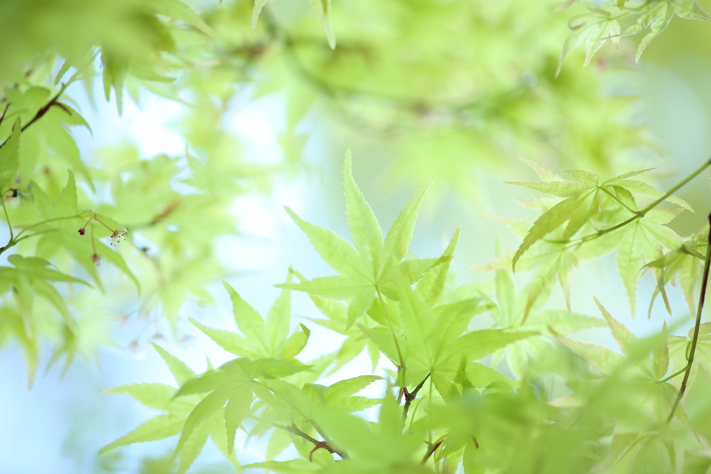 包まれたよ