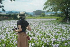 過ぎゆく夏の思い出