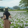 過ぎゆく夏の思い出