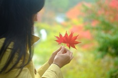 始まりはいつも雨