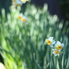 今年の豊富：周りの人が笑顔でいられるような人になる