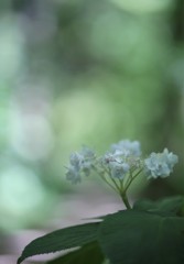 時が流れても